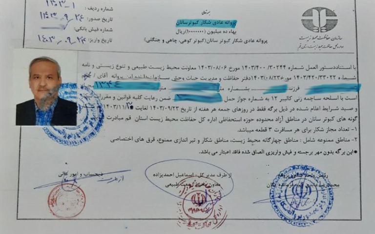 پروانه شکار کبوتر وحشی استان تهران در سال 1403